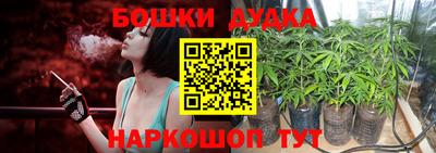 прущие грибы Моздок