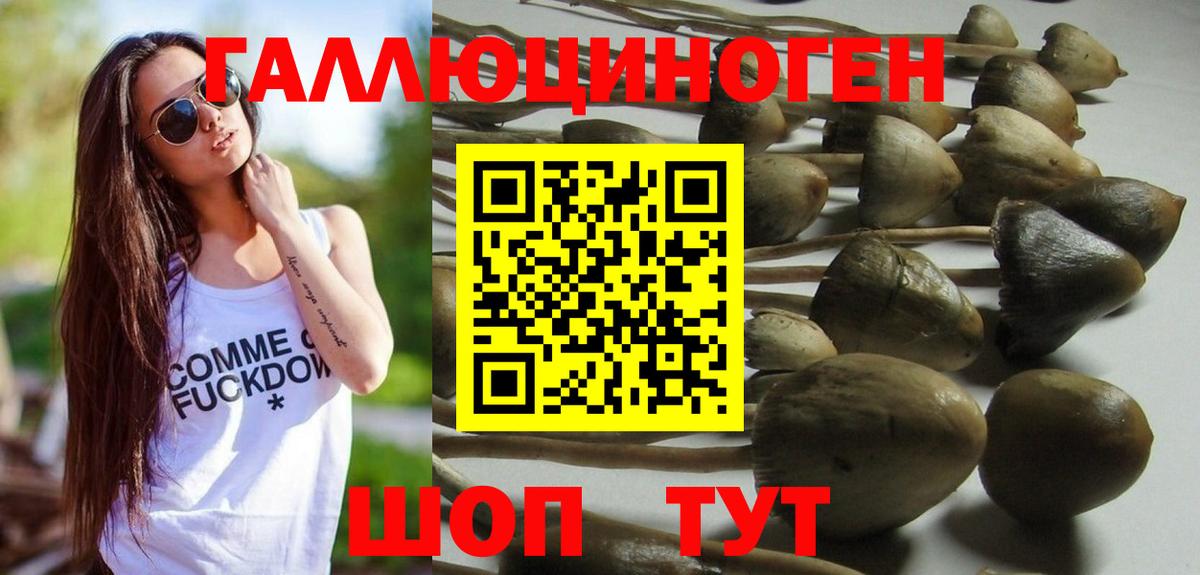 Псилоцибиновые грибы MAGIC MUSHROOMS Узловая